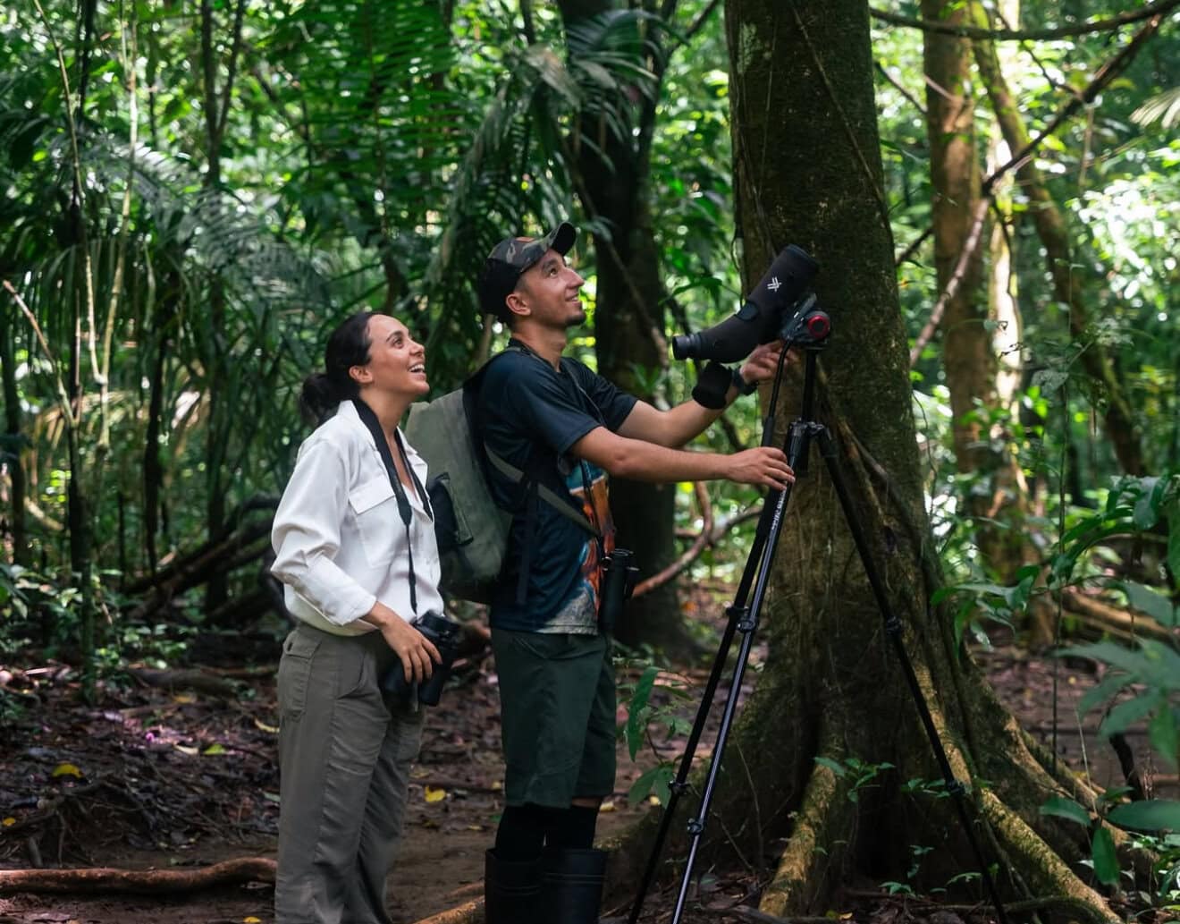Two people in outdoor clothing stand in a lush forest, observing something above while using a spotting scope mounted on a tripod.