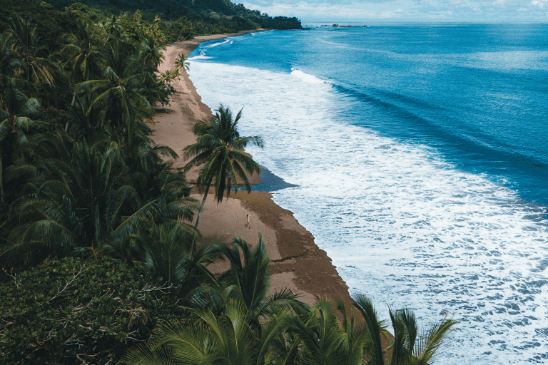 Aerial view of a secluded tropical beach with palm trees, shoreline waves, and a person walking along the sand near the water’s edge.