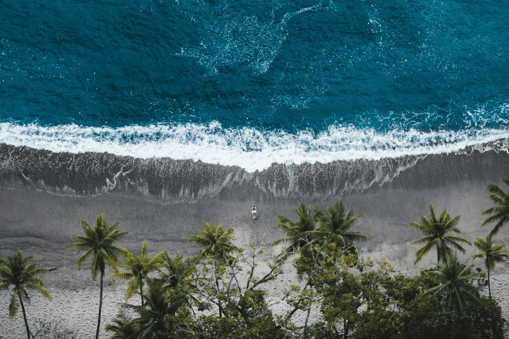 Aerial view of a person standing on a sandy beach with waves approaching, bordered by palm trees and dense greenery.