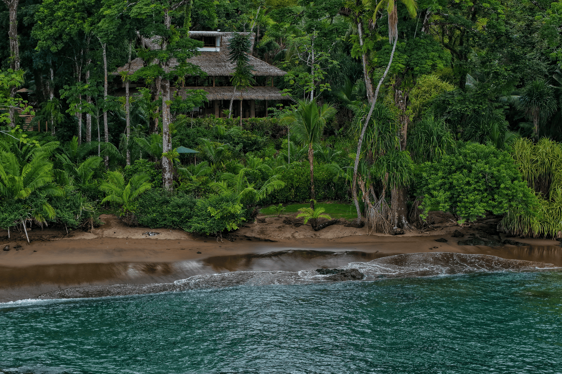 A house surrounded by dense tropical forest sits near a sandy beach with gentle waves and lush greenery along the shoreline.