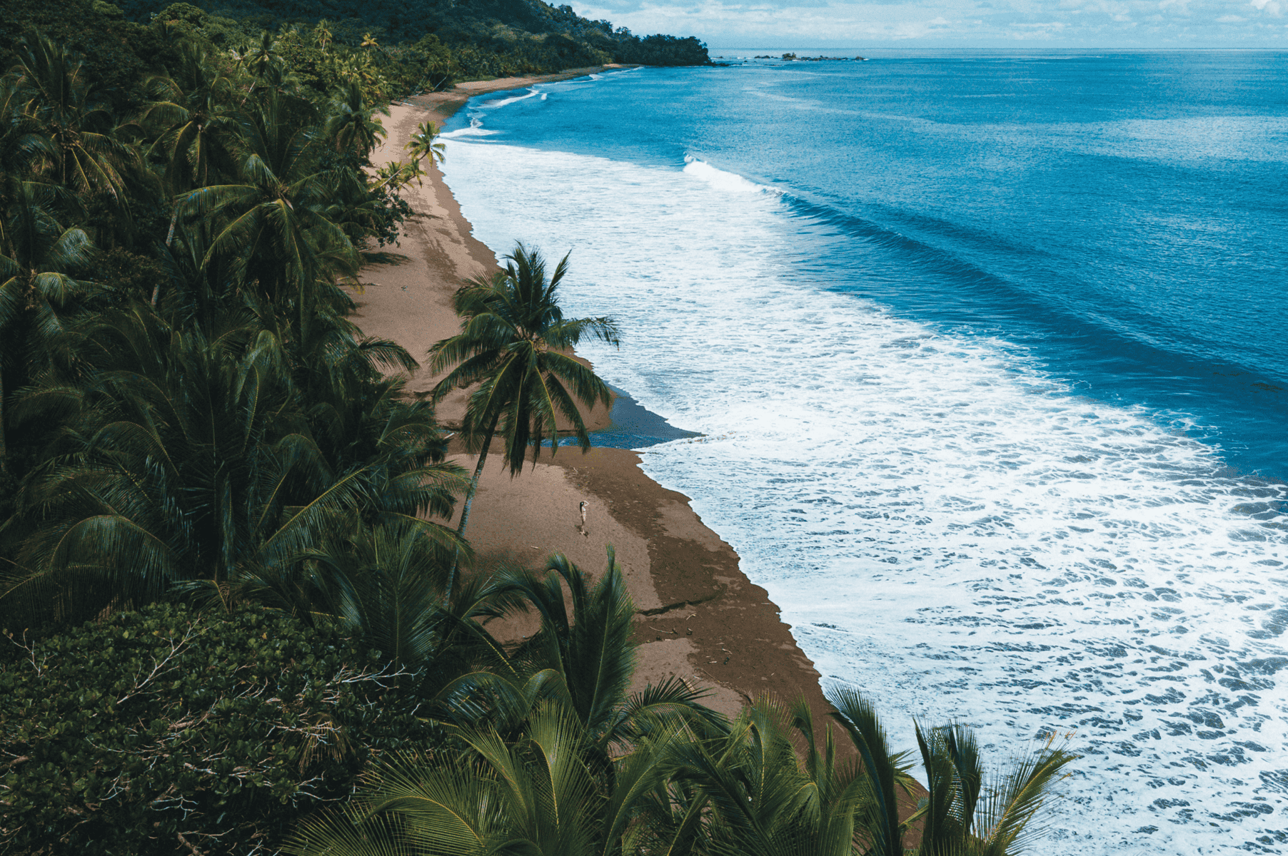 Aerial view of a tropical beach with palm trees, brown sand, and ocean waves; lush green forest borders the shoreline under a partly cloudy sky—an idyllic setting for yoga on the Osa Peninsula.