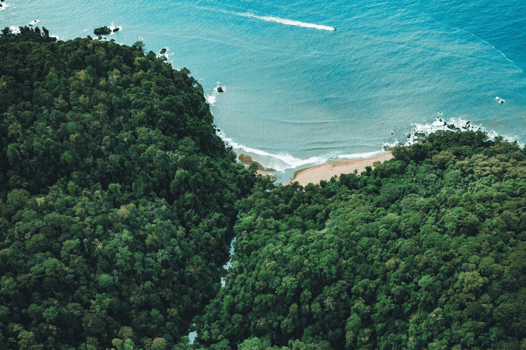 Aerial view of a dense green forest meeting a sandy beach and blue ocean, with gentle waves and a visible boat wake in the water—a tranquil setting perfect for yoga on the Osa Peninsula.