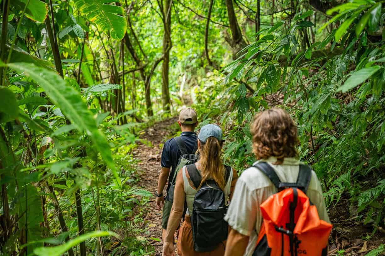 Three people with backpacks walk along a narrow dirt trail through dense, green tropical forest.